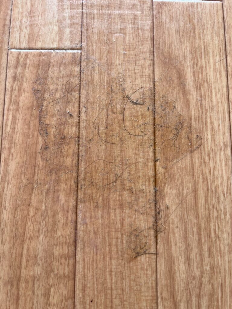 AFTER画像