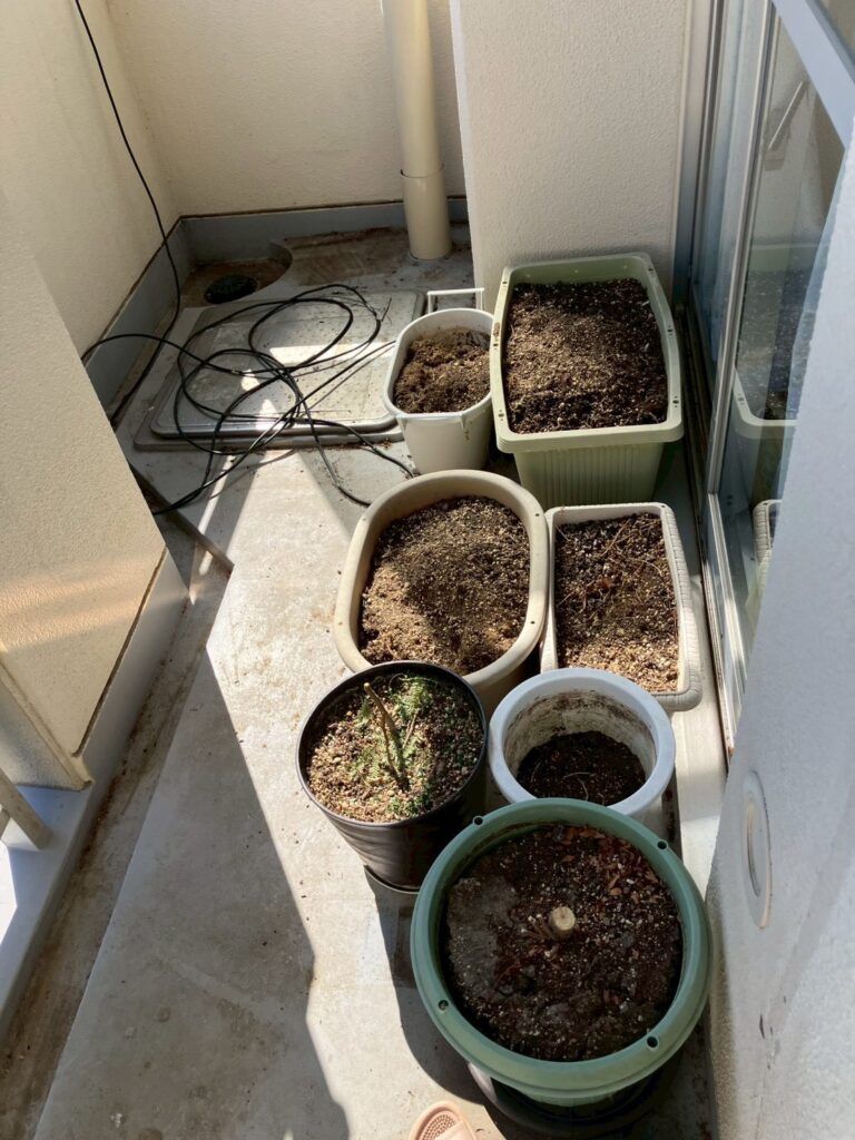 BEFORE画像