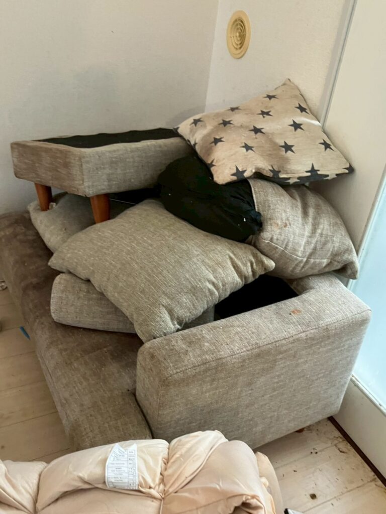 BEFORE画像