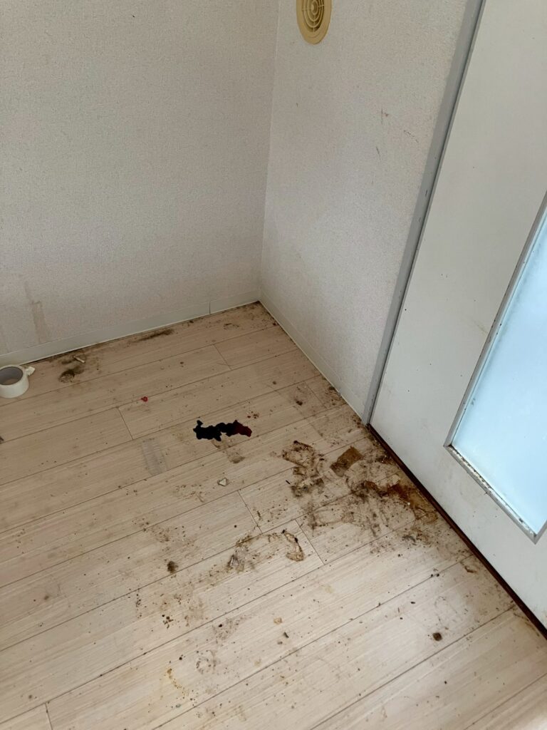 AFTER画像