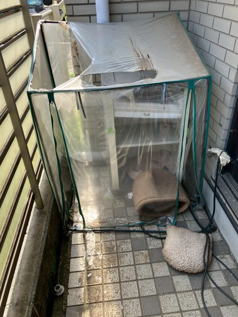 BEFORE画像