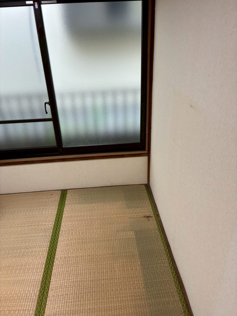 AFTER画像