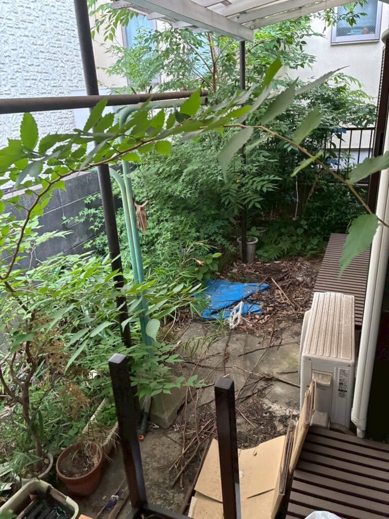 BEFORE画像