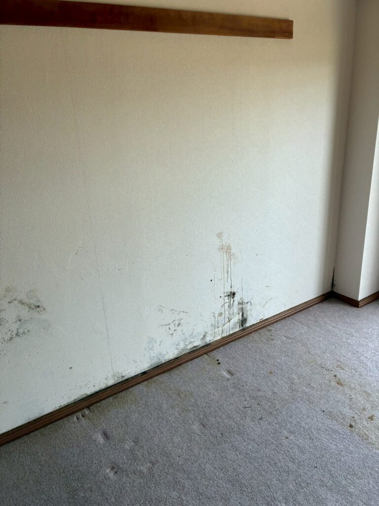 AFTER画像