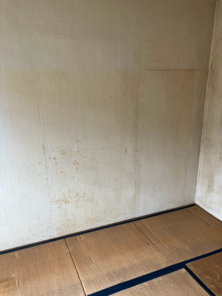 AFTER画像