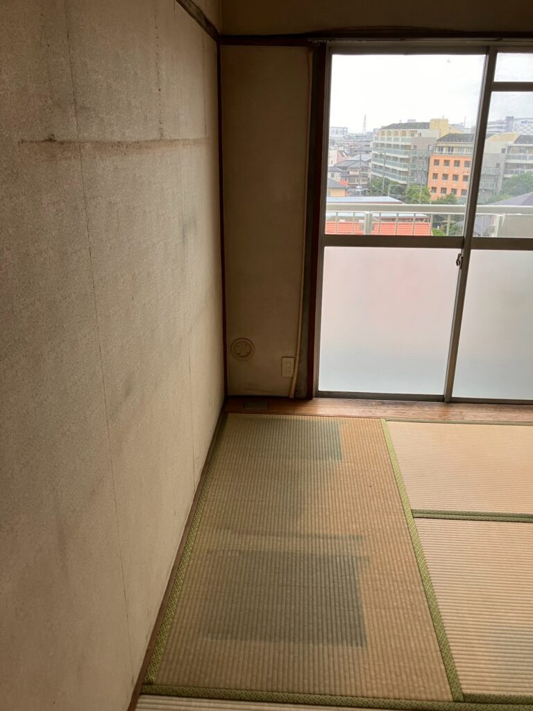 AFTER画像