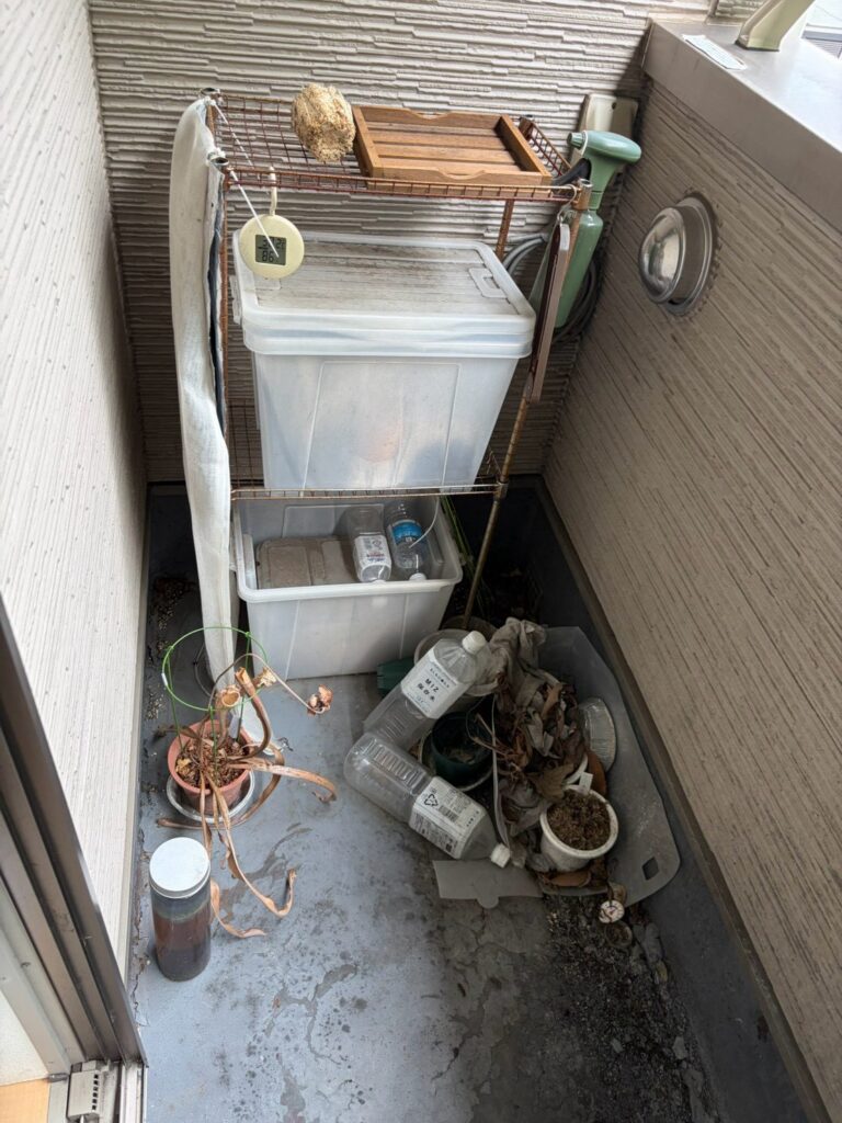 BEFORE画像